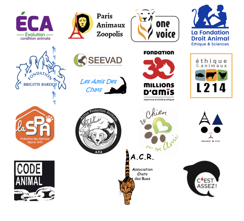 Signataires de la lettre collective