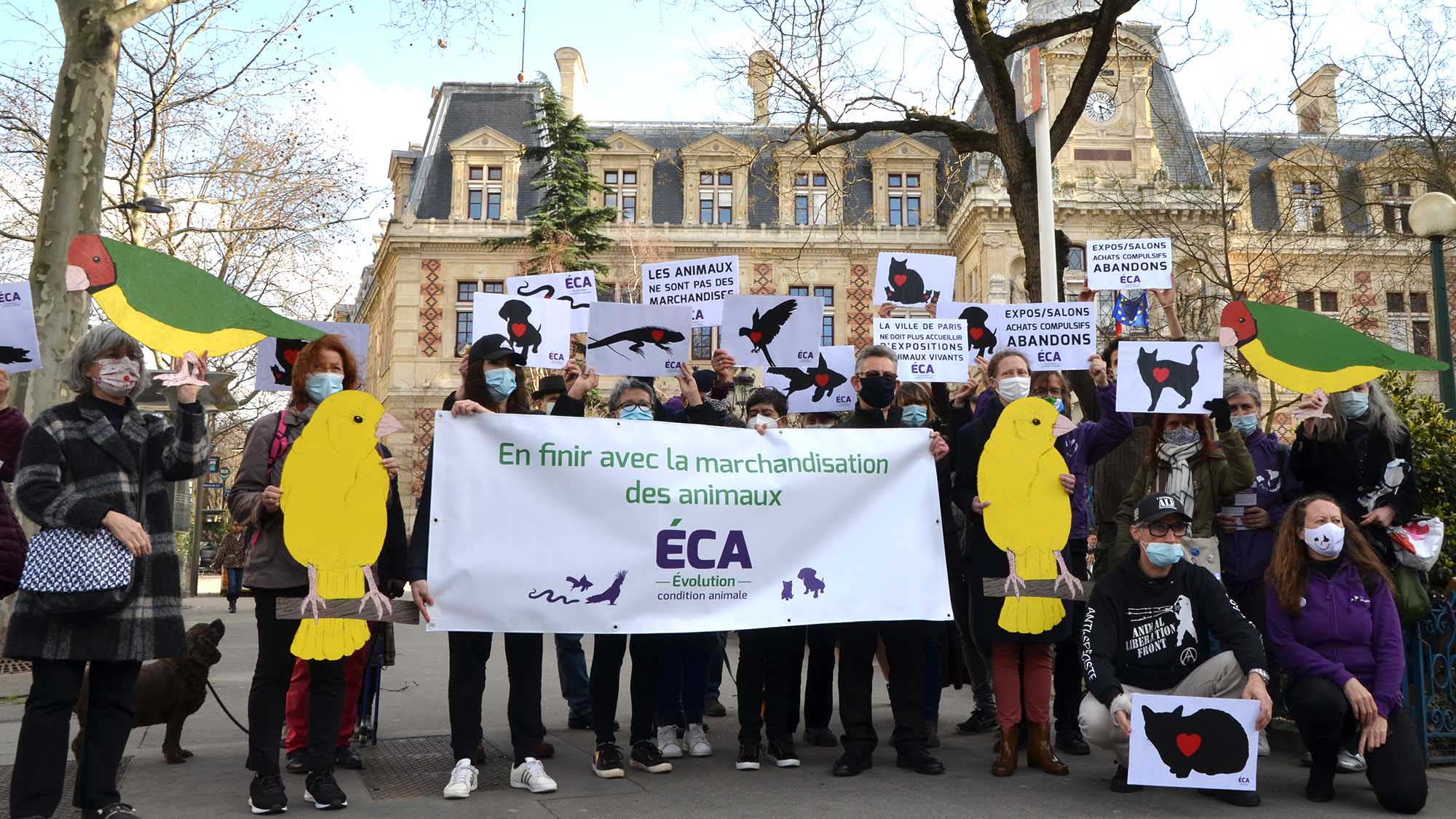 You are currently viewing Un pas important contre la marchandisation des animaux à Paris